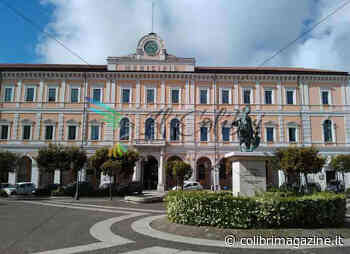 Borse di studio per alunni delle scuole secondarie di secondo grado, pubblicato l'avviso - Il Colibrì