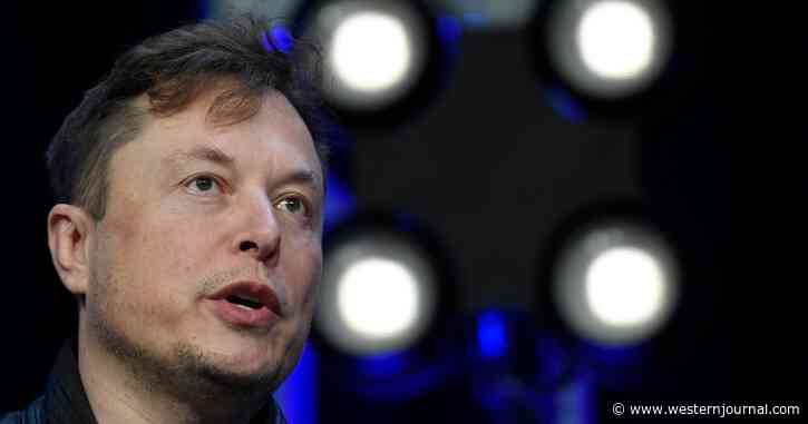 News of Elon Musk's Twitter Takeover Attempt Triggers Vulgar Meltdown from Leftists