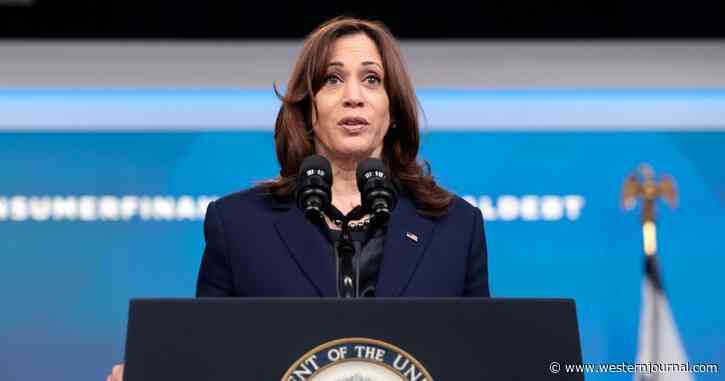 Kamala Harris Is Asked What Administration Is Doing to Fight Inflation, Listen to Her Jaw-Dropping Response
