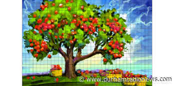 Mosaic painted by hundreds of Clarington residents to be unveiled April 20 - durhamradionews.com