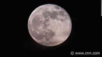 A pink moon will glow in the sky this weekend