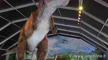 I giganti della preistoria in tour a Siena L’expo jurassico - LA NAZIONE