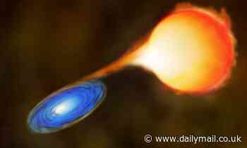 Scientists discover a 'slimmer' type of red giant that 'is having mass sucked away'