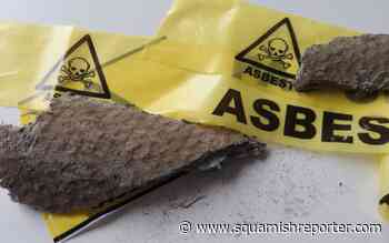 BC man sentenced for knowingly exposing workers to asbestos - The Squamish Reporter