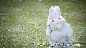 Wetter an Ostern: Kälte-Ei rollt nach Deutschland - wo wird es an den Feiertagen schneien? 