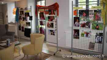 Arras : les femmes du monde de passage aux Jardins d'Artois - La Voix du Nord