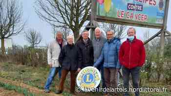 Arras : L'opération Tulipes contre le cancer fête ses 20 ans - Nord Littoral