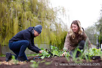 Royal Roads University unveils new food garden to support community needs – Saanich News - Saanich News