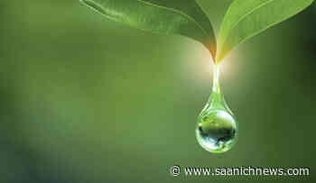 Community engagement key goal for Earth Week in Sooke – Saanich News - Saanich News