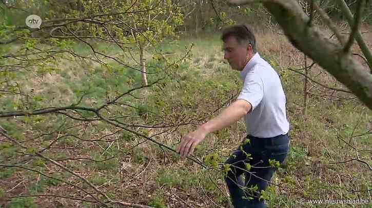 Kafka in Hemiksem: stuk grond al 73 jaar lang onbebouwbaar door plannen overheid