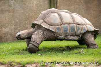 Sadness as Blackpool Zoo's oldest resident dies aged 105