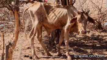 See the impact of Russia's war on countries around the world