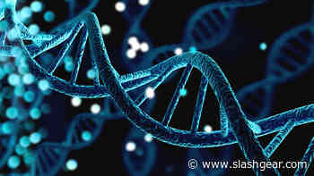 Scientists Decode Entire Human Genome: Why This Matters