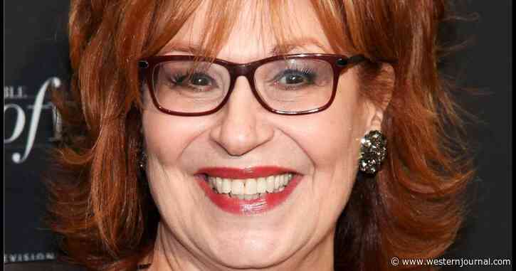 After 'The View' Host Joy Behar Goes on Gun-Grabbing Rant, Second Amendment Expert Fact-Checks Her Into Oblivion