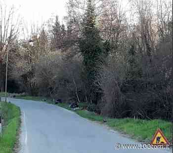 Pino Torinese-Chieri. Chiusure viabilità: Sp 115 01 di Valle Ceppi dal 19 aprile al 6 maggio - CentoTorri