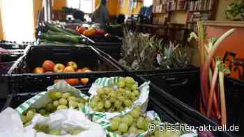 Regelmäßig für sozial Benachteiligte im Haus der Begegnung da: die Tafel Dresden - Pieschen Aktuell