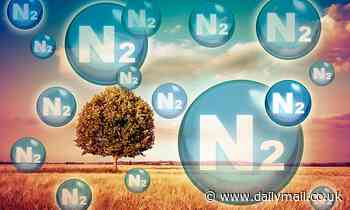Decline in the availability of NITROGEN in could have dire consequences for plant and animal growth