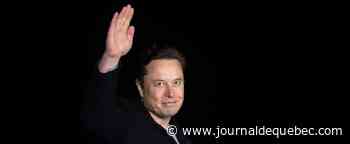 Elon Musk, multi-entrepreneur baroque et visionnaire