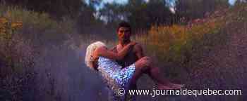 Gala Québec Cinéma: Les oiseaux ivres et Maria Chapdelaine partent favoris