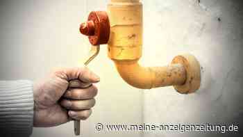 Ukraine-News: Kanadisches Gas als Alternative? „Können 20 Prozent des russischen Gases liefern“