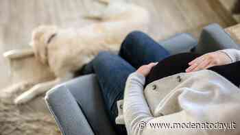 La "Doula", una nuova figura professionale che a Modena aiuta e sostiene le future madri (gratuitamente) - ModenaToday