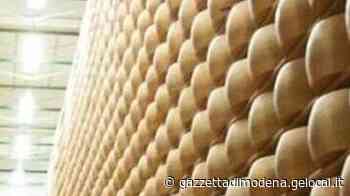 San Prospero, errore nel marchiare il Parmigiano: indagata - La Gazzetta di Modena