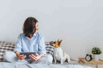 Do Pets Have a Positive Effect on Your Cognitive Health?
