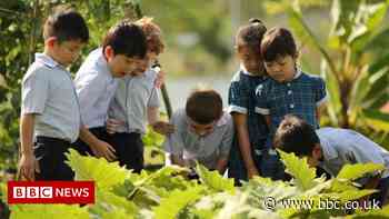 How posh British schools are branching out in Asia