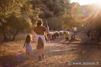 Brucano l erba - Zazoom Blog