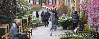 Ecco PrimaVeraErba Un ritorno a sorpresa - Cronaca, Erba - La Provincia di Como