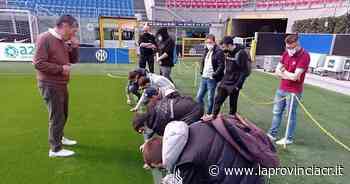 San Siro: gli studenti dello Stanga a lezione di erba - La Provincia di Cremona e Crema