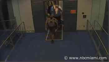 Video Shows Passenger After Being Removed From American Airlines Flight in Miami