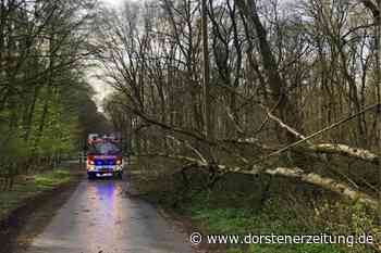 Wetterwarnung für Dorsten, Schermbeck, Raesfeld und Kirchhellen - Dorstener Zeitung