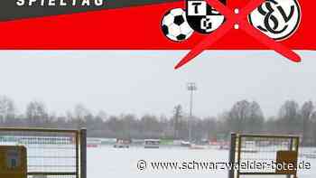 Fußball Regionalliga Südwest - Winter bremst TSG Balingen aus - Schwarzwälder Bote