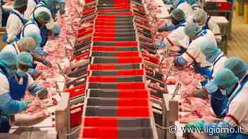 Fratelli Beretta, la Guardia di Finanza di Lecco sequestra 4 milioni di euro - IL GIORNO