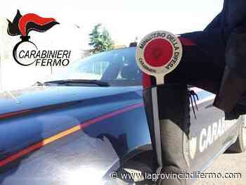 Udienza in tribunale a Fermo, si presenta con il coltello. "Scusate, mi è rimasto in tasca: ho fatto giardinaggio" - Laprovinciadifermo.com