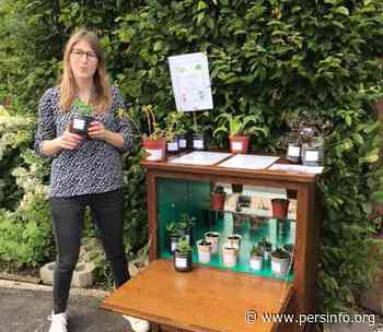 Plantenbib Herne opent voor het tweede jaar op rij de deuren - Persinfo.org