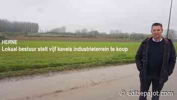 HERNE - Lokaal bestuur stelt vijf kavels industrieterrein te koop - Editiepajot