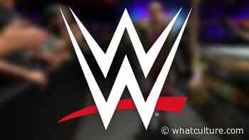 Report: Top NXT Star Called Up To WWE Main Roster IMMEDIATELY - WhatCulture