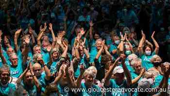 Independents could have their day at poll - Gloucester Advocate