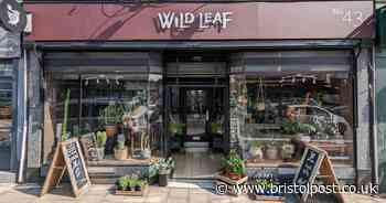 Gloucester Road plant shop opening inner-city garden centre in its back garden - Bristol Live