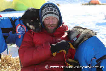 Dogs owned by Iditarod vet, reality TV star kill family pet - Creston Valley Advance