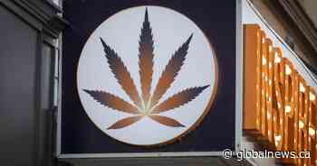 Ontario’s cannabis store openings slow as legal pot’s share of sales up: OCS