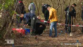 Braunschweig: Polizei sucht nach weiteren Leichenteilen - NDR.de