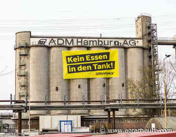 Biokraftstoff: Die Greenpeace-Mär vom Essen im Tank - agrarheute.com