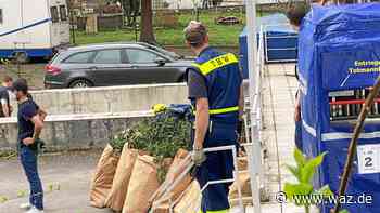 Drogenrazzia in Essen-Altendorf: Große Plantage ausgehoben - WAZ News