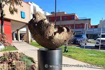 Sculpture stolen from B.C. Children’s Hospital recovered by police - Creston Valley Advance