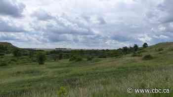 Sask. First Nations call for better duty-to-consult legislation