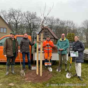 COESFELD: Baum des Jahres gepflanzt - Radio Kiepenkerl