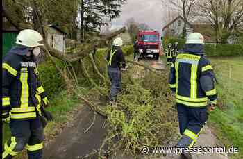 FF Goch: 4 sturmbedingte Einsätze für die Feuerwehr Goch - Presseportal.de